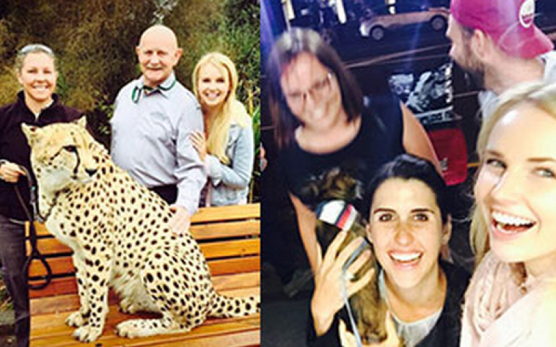 Kimberley’s Blog: Cheetahs & 1/2 b’days