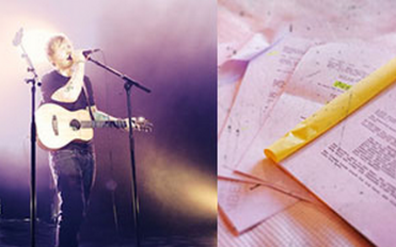 Kimberley’s Blog: New project time in NZ