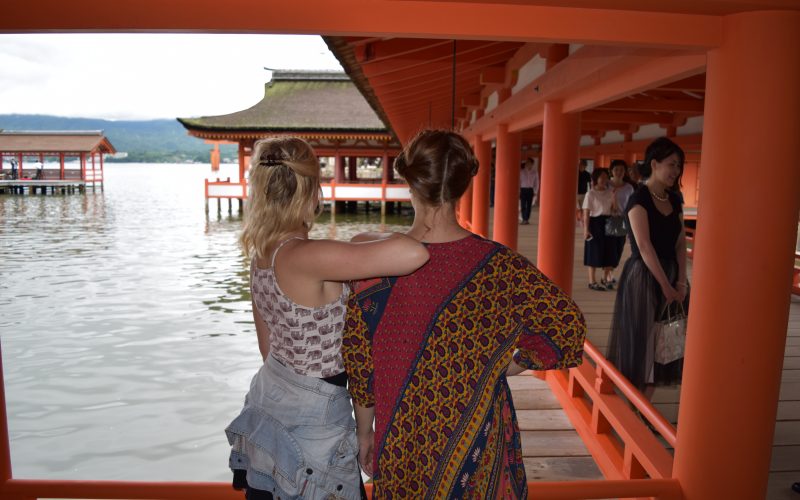 The Travel Project : Japan Contiki