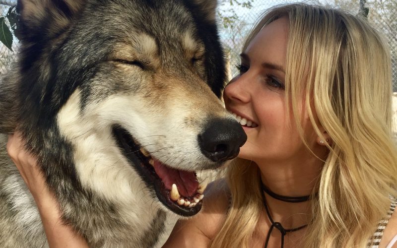 Kimberley’s blog – Animal Encounters in LA