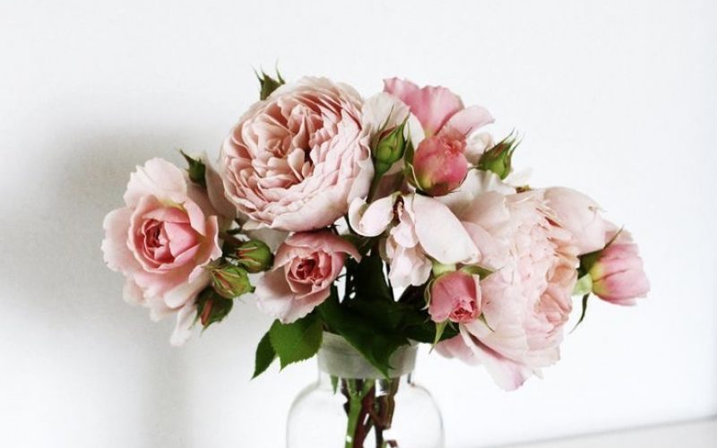 Motivate Me : 10 Words of Wisdom You Need Today