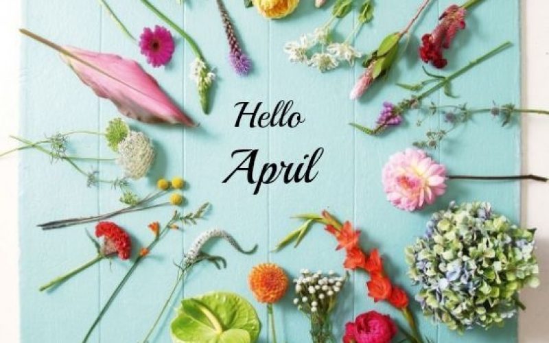 April Faves