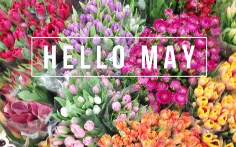 May Faves