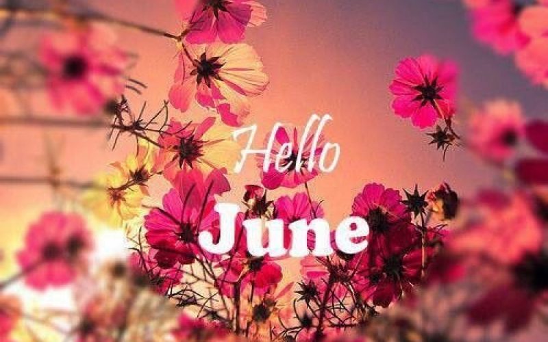 June Faves