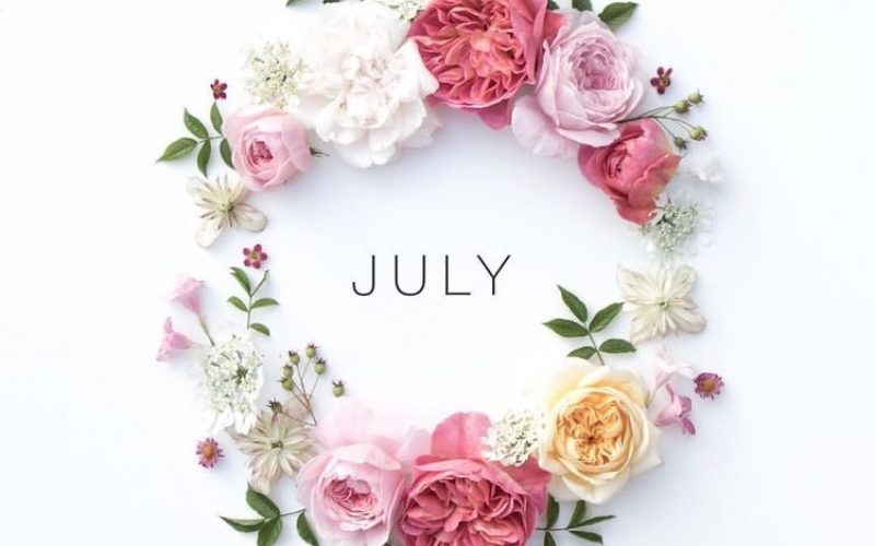 July Faves