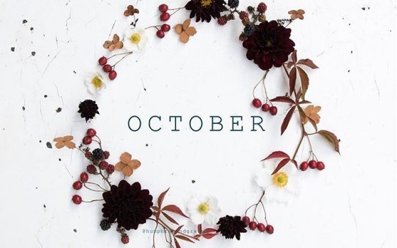 October Favourites