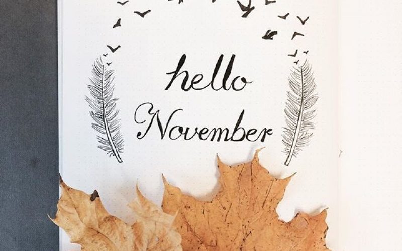 November Favourites