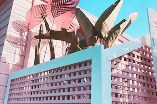Brisbane pink, 400