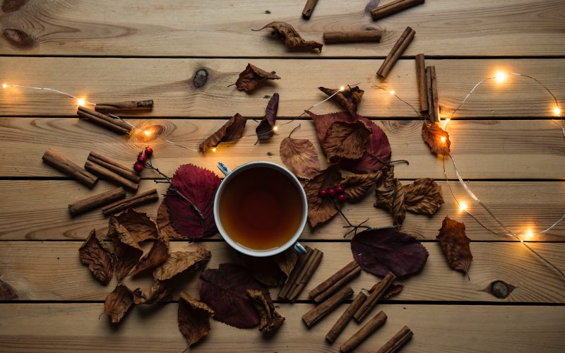 Autumn viewing to get cosy with this season